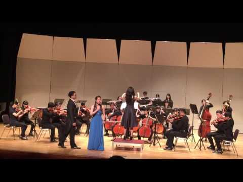 W.A .Mozart : Don Giovanni Duettino " La ci darem la Mano "