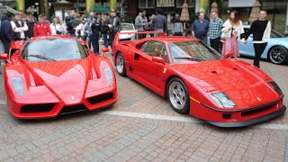 Exotics at Redmond Town Center 2024 Opener!