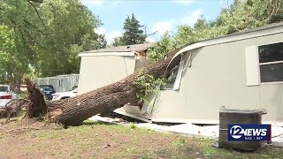 Tree crashes through S. Wichita mobile home