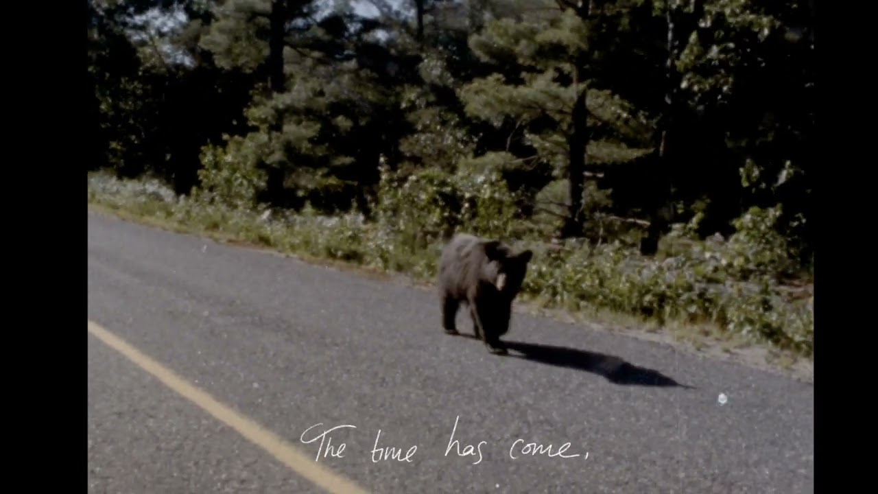 Sam Plecker - Birds of Paradise (Official Video)