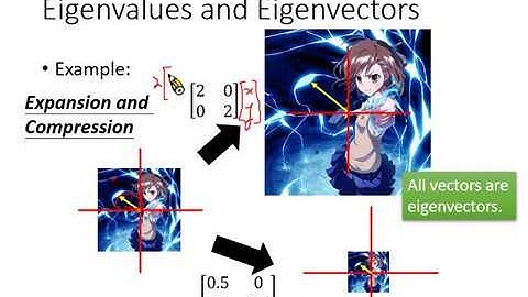 Linear Algebra Lecture 25: Eigenvalues and Eigenvectors