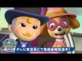 パウ・パトロール | PAW Patrol BABYレスキュー!#10 スカイ&ベビー・ハムディンガー 🐱 90分 | テレビ東京系にて放送中