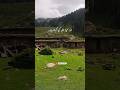 Or Mara Allah Kya Khate Hai 🥺|| #shorts #subscribe
