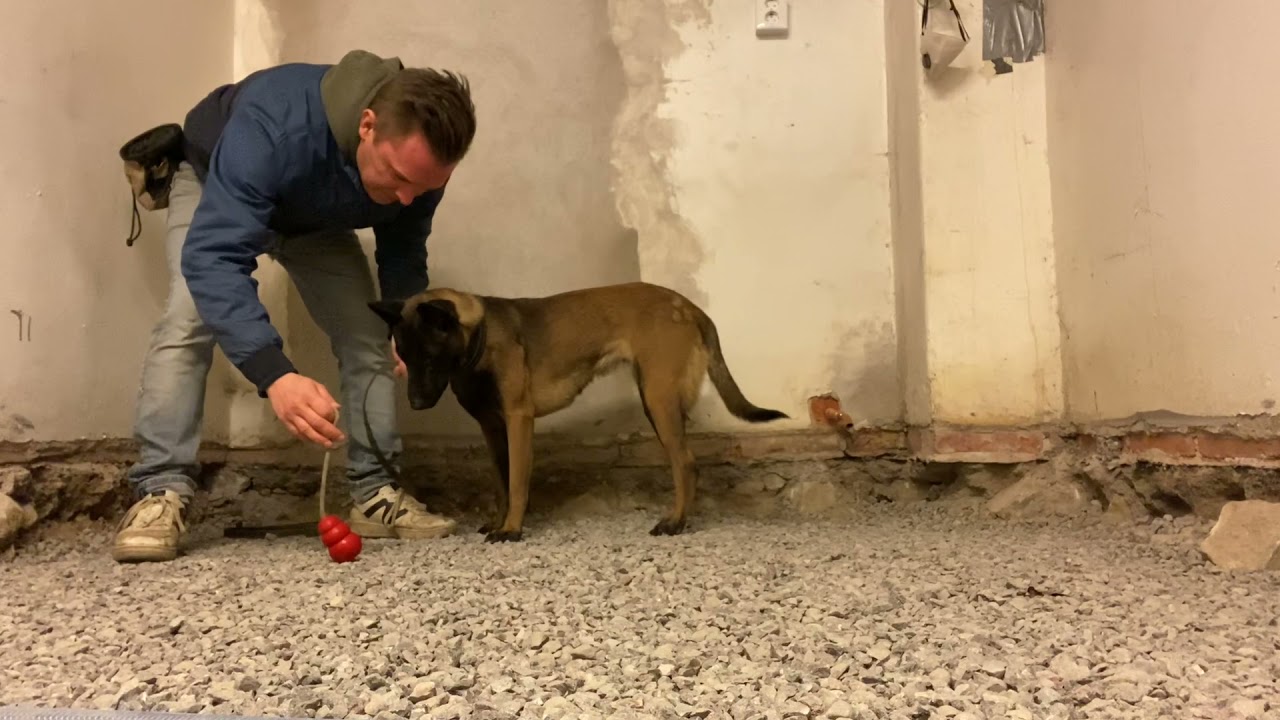 Adding the leash as a bridge