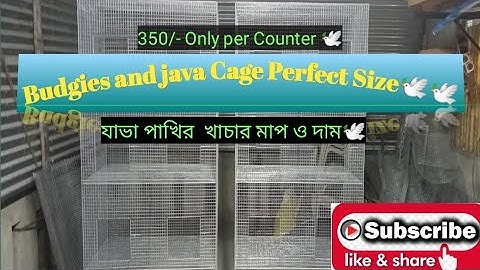 Budgies and Java birds perfect Cage Size and price 🕊️🕊️//#Galiff