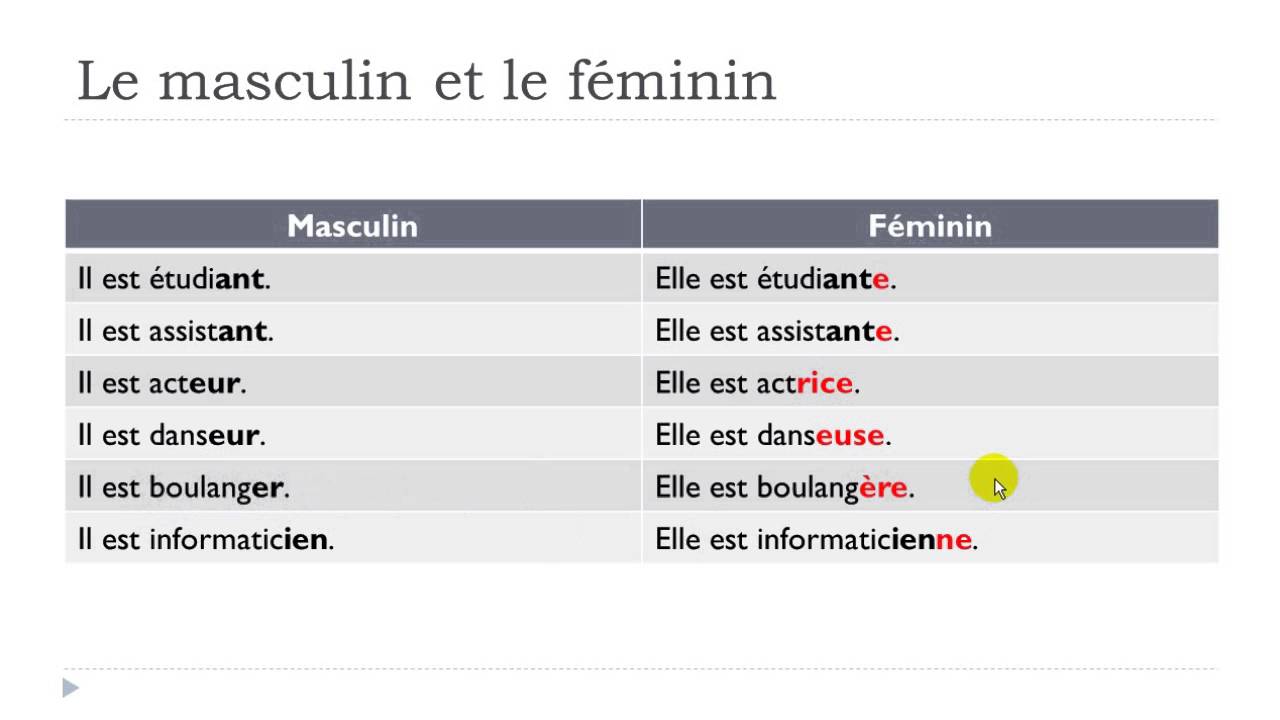 Professions In French Masculine And Feminine
