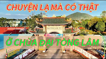 ĐIỀU ĐẶC BIỆT Ở CHÙA ĐẠI TÒNG LÂM