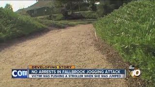 Sheriff's Dept.: Fallbrook woman pushing stroller attacked, sexually assaulted