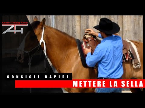 Video: Come selezionare e acquistare un cavallo da trail