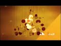 فاصل قناة المصرية الأولى رمضان 2009 