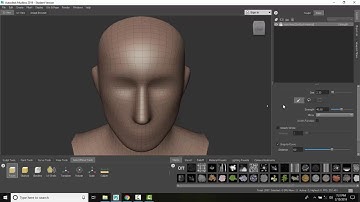 Mudbox 09 01 Select Move Tools Tray   Faces