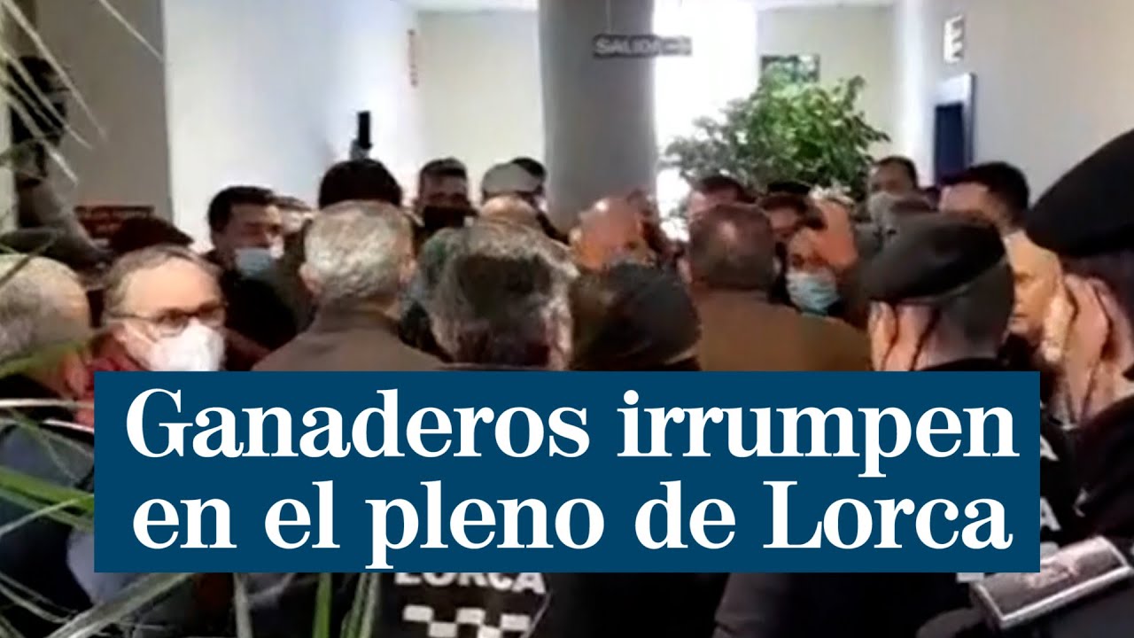 Unos ganaderos irrumpen en el pleno del Ayuntamiento de Lorca en defensa de las macrogranjas