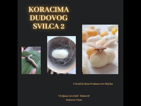 Koracima dudovog svilca iz Podmurvica 2