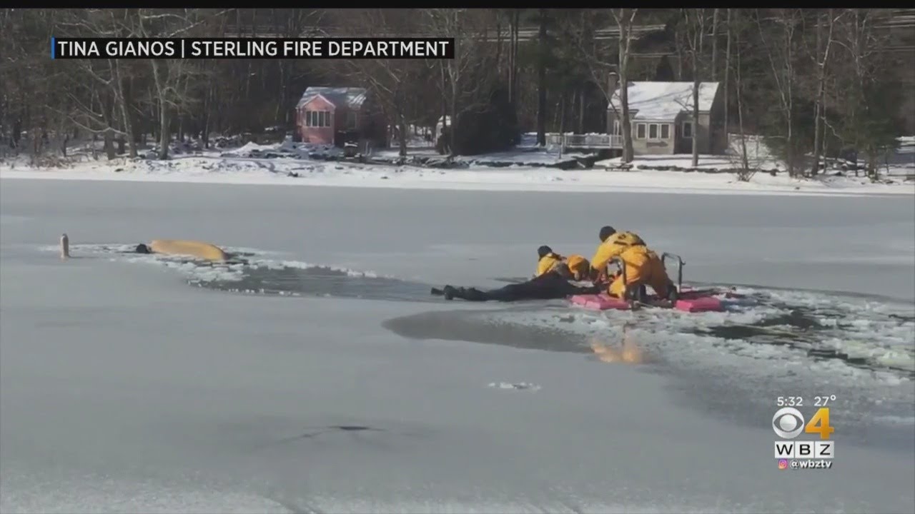 Man And Dog Rescued After Falling Through Ice Into Sterling Pond - YouTube