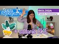 Susza fizjologiczna💧🪴Fizjologia roślin - biologia do matury