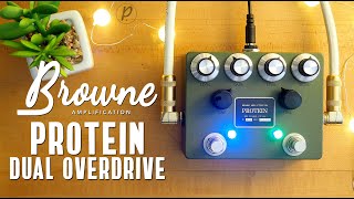 Browne Amplification Protein Dual Overdrive