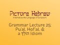 Biblical Hebrew Grammar 25: Pu'al, Hof'al, & a הוֹלֵךְ Idiom
