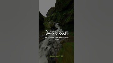 ولو يؤخذ الله الناس بما كسبوا ( #سورة_فاطر ) 🤲🤍
