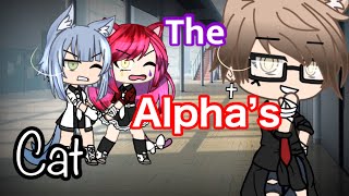 [•The alpha’s cat•] original??? GLMM