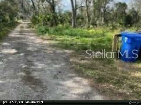 11616 BULLFROG CREEK ROAD, Gibsonton, FL home video tour