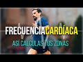 💓 ZONAS por FRECUENCIA CARDIACA (FC) para CORRER - Lo que necesitas saber para usarlas CORRECTAMENTE