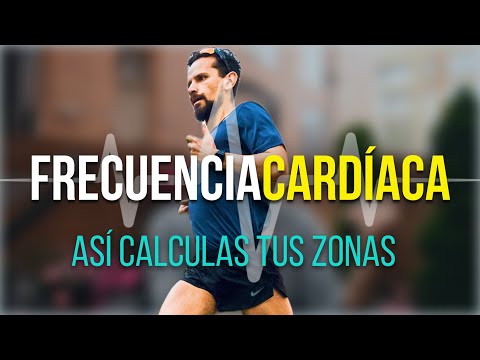 💓 ZONAS por