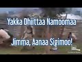 Godina Jimmaa Aanaa Sigimootti Dhiittaa Mirga Namoomaa Kana Daaw Adhaamee Godina Jimmaa Aanaa Sigimootti Dhiittaa Mirga Namoomaa Kana Daaw Adhaamee