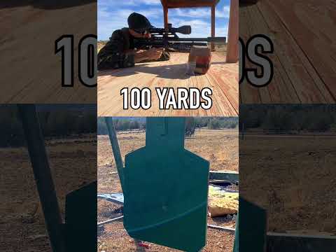 Simply The BEST! This Airgun is UNSTOPPABLE!