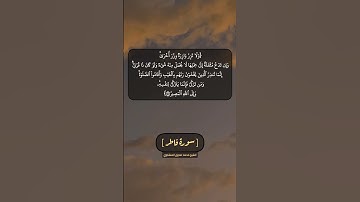 سورة فاطر الآية ١٨ الى ٢١ بصوت الشيخ محمد صديق المنشاوي