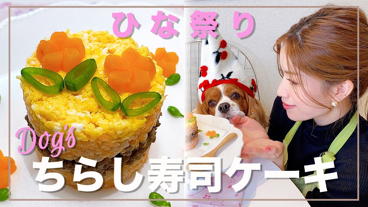ちらし寿司ケーキ 愛犬とひな祭り 手作りケーキ キャバリア Cavalier Youtube