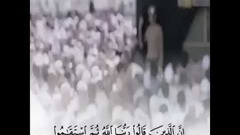 عبد الرحمن العوسي تلاوة رائعة /حالات واتس اب قرآن كريم