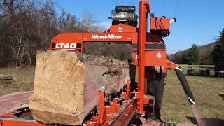 Wood-Mizer LT 40 Sawmill and a Massive  Eastern Red Cedar!