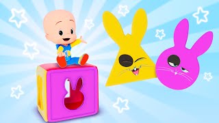 Cuquin’s Magic Color Cube – Learn the Shapes  | The Joy of learning with Cuquin