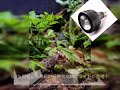 植物育成用LED/太陽光スペクトル/35W大光量/jua-LED Plants/ジュアLEDプランツ