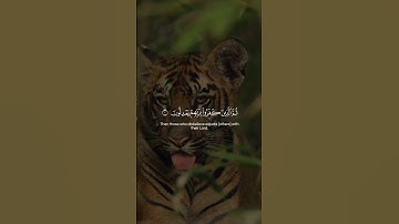 Surah Al-An'am 01-03 سورة ٱلْأَنْعَامْ      #quraniv #quran