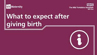 MY Maternity - what to expect after birth