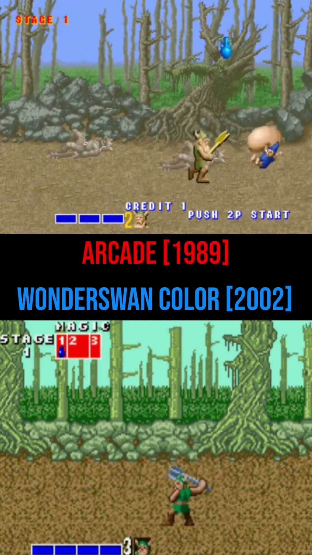 Golden Axe Arcade Compared With WonderSwan Color #retrogaming