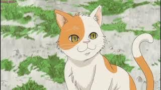 Taesing Master Takagi San - Chiisana Koi No Uta