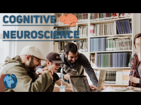 Video: Hvad er forskellen mellem en kognitiv psykolog og en kognitiv neuroforsker?