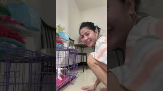 Ang Kigul Haha Laro Kame Mihua Ko