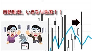 自律制御システム買ったらいきなり急落