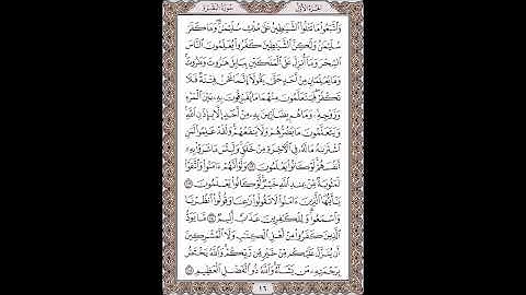 القرآن الكريم بصوت الشيخ سعد الغامدى صفحات صفحة رقم ( 16)