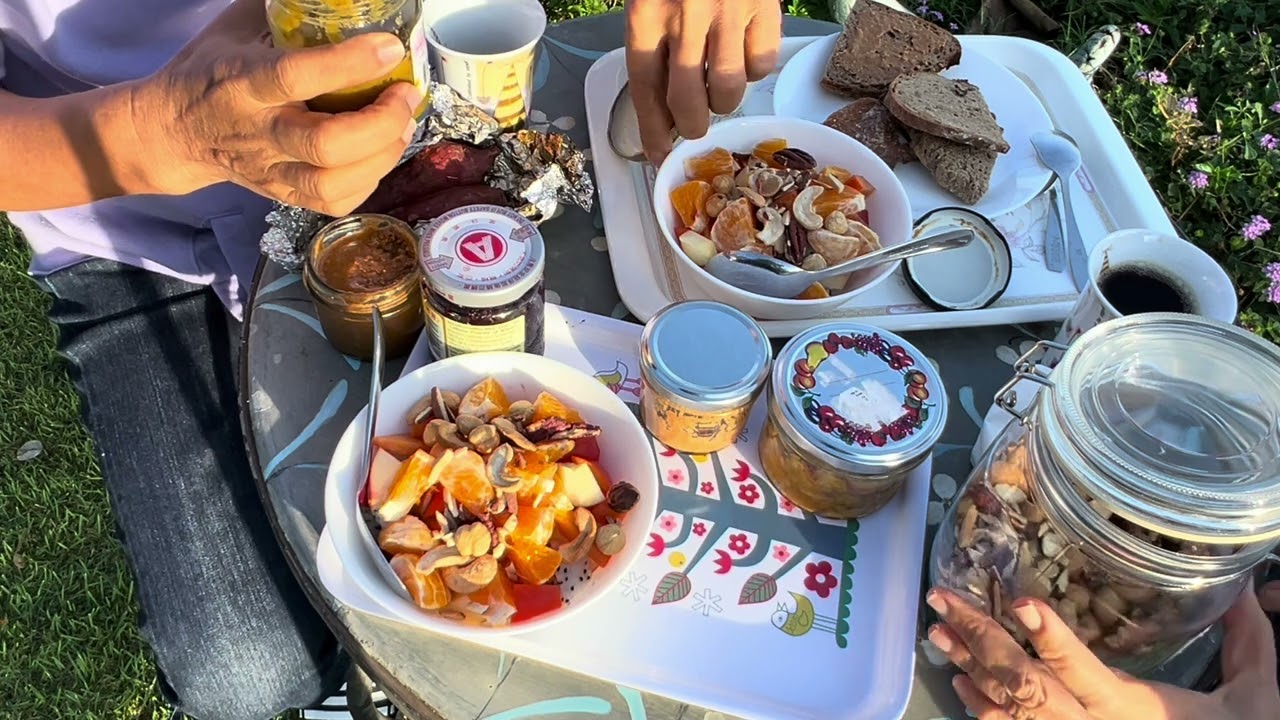 หมอสันต์ ไร้สาระ 4. มื้อเช้าฉบับเร่งรีบ