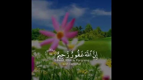 تلاوة هادئة تريح الأعصاب - حالات واتس اب دينية - مقاطع دينية قصيرة - مقاطع انستقرام دينية