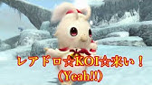 レアドロ Koi こい ワンモア Ver アイカ Cv M A O Youtube