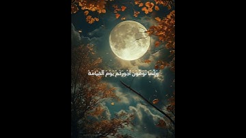 اكتب شيء تؤجر عليه 😴❤️ القارئ ياسر الدوسري