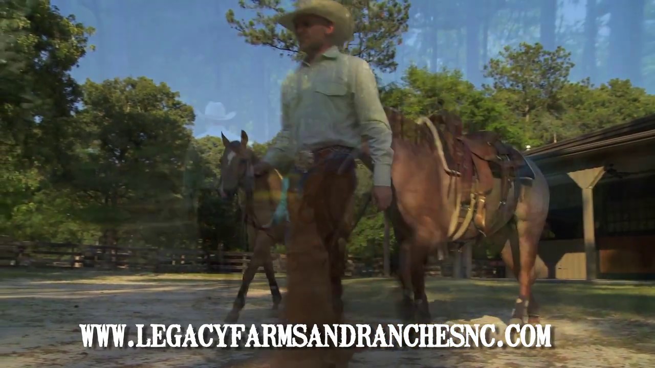 North Carolina Horse Farm with Home and Beautiful Lake in Turkey NC YouTube