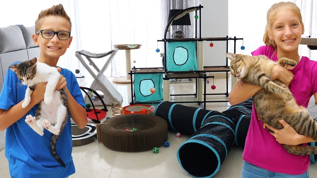 Testing Cat Toys on our Cats!!! 2020