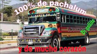 Video thumbnail of "MARIMBA 502 EL TACUAZIN (Estreno 2016)"