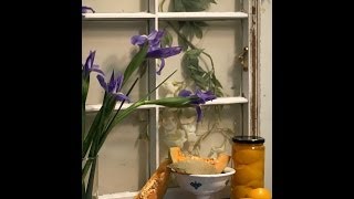 Deborah Ellis: Monet's Jar of Peaches